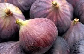 خواص این میوه؛ از کاهش وزن تا جوان‌سازی پوست