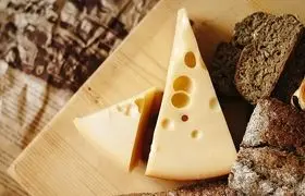 آیا مصرف پنیر و خامه پرچرب خطر دارد؟