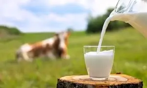 هر رده سنی روزانه چقدر باید شیر مصرف کند؟
