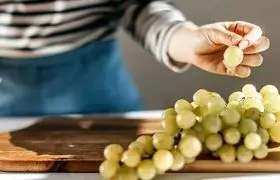 بهترین زمان خوردن میوه | روزانه چند عدد میوه بخوریم؟