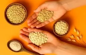 برنج دوست دارید؟ این‌بار جو را امتحان کنید!