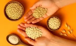 برنج دوست دارید؟ این‌بار جو را امتحان کنید!