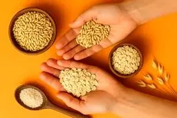 برنج دوست دارید؟ این‌بار جو را امتحان کنید!